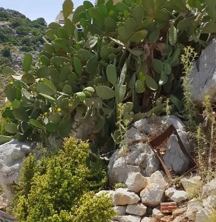 Villa Sea Stars ,villas Danezis *