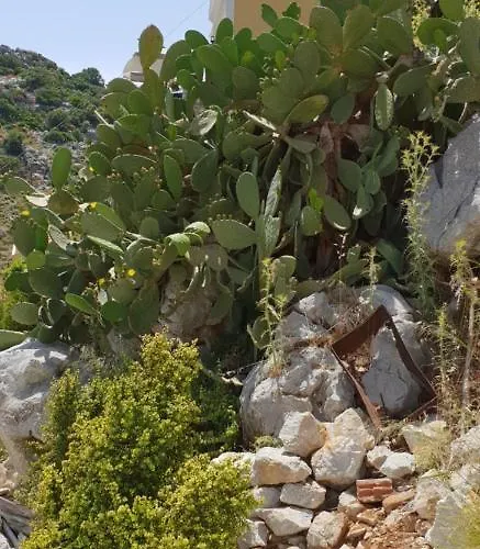 Villa Sea Stars ,Villas Danezis *